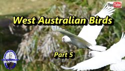 Birds of Western Australia 5